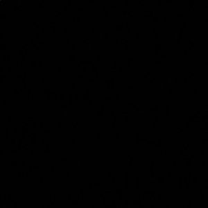 Meet your Posher, Tamara